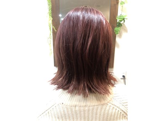 ワインレッド　カラー